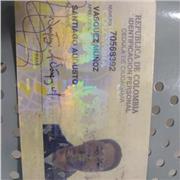 Profesor de español licenciado en idiomas